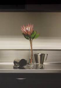 Still Life: Secundum Artem 1