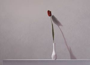 Still Life: A Single Tulip