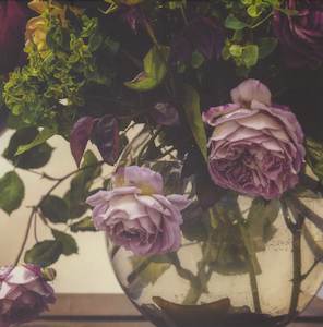 Photography: Palette 1