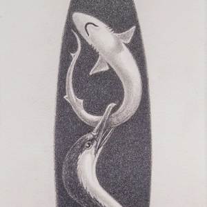 Birds Of A Feather: Untitled (Shark & Shag)