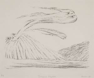 Sold: Tarawera Eruption