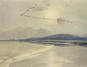 Untitled - Birds in Flight