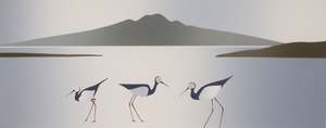 View Art: Rangitoto and Pied Stilt