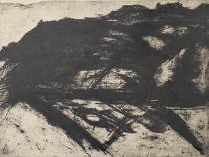 Untitled (Ohau Landscape)