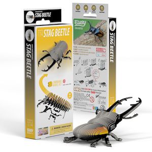 3D Cardboard Model Kit Stag Beetle