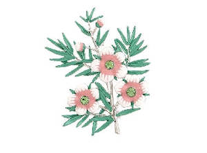 Accessories: Boxed pink manuka flower & branch rhodium brooch
