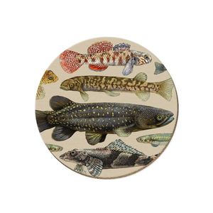 Wolfkamp & Stone - NZ Freshwater Fish - Coaster