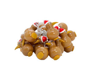 Christmas Decorations: Kiwi Christmas Lights