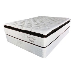 Mattresses: Spine O Care