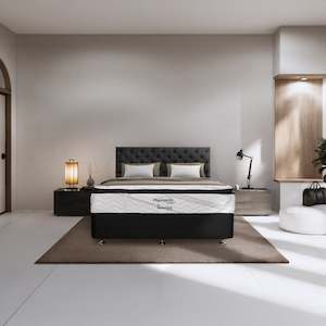 Mattresses: Physiopedic Torque Plus Mattress and Bed