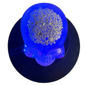 1 Oz Shot For Brains silver in resin skull