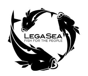 Unreel Fishing Queenstown