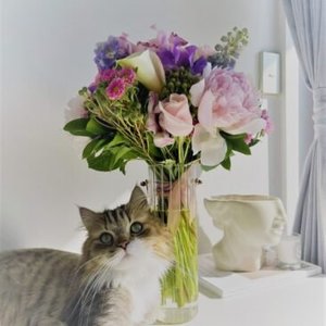 Perfect Posies