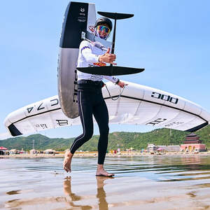 Wings: PPC SONIC FDS – Full Dual Skin Wing