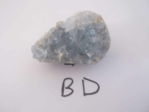 celestite cluster (bd) - NZ Gems