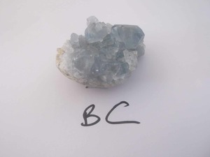 celestite cluster (bc) - NZ Gems