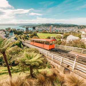 Products: Wellington