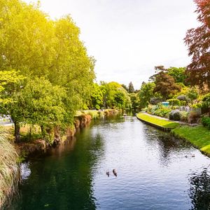 Products: Christchurch