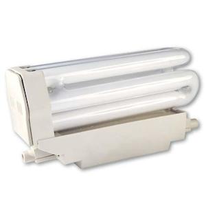 R7s Linear: LAMP: R7S/118mm 240V 24W Coolwhite 8,000 Hour Life