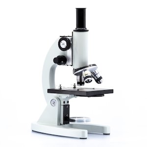 10-500X Intermediate School Microscope