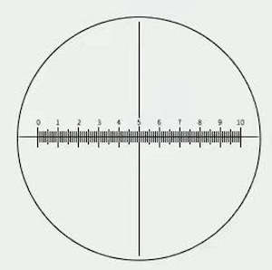 Microscope Accessories: Reticule for 10X Eyepiece - Measuring scale for microscope eyepiece