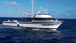 Products: 70ft Marko For Sale