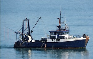 Products: Trawler for Sale
