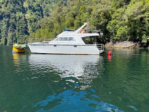 Products: Alan Wright Designed