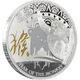 Lunar gilded silver coin - year of the monkey 2016