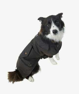 Four Legged Friends: Hunter Oilskin Dog Coat SWANNDRI