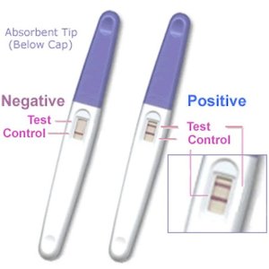 Pregnancy And Ovulation Tests: Sbm Pregnancy Test Midstream 2Pk