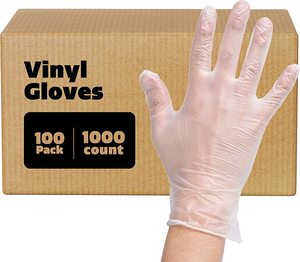 Powder-Free Vinyl Gloves (Large, 100/box)