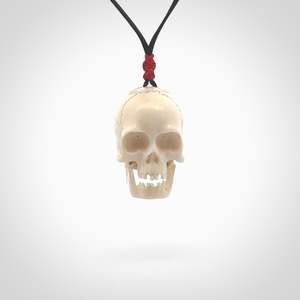 Deer Antler: BRAIN CASE