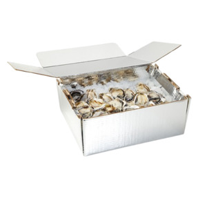 Chilltainers: Oyster 4T, Chilltainer, 410mm x 335mm x 170mm