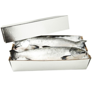 Chilltainers: Large Lobster, Chilltainer , 545mm x 370mm x 220mm , Lid Only