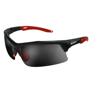 Eye Protection: Sentry Smoke Lens Safety Glasses