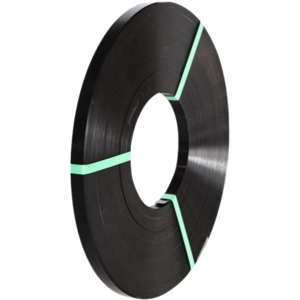 Steel Strap: 19mm Black Ribbon Wound Steel Strap Apex 190056