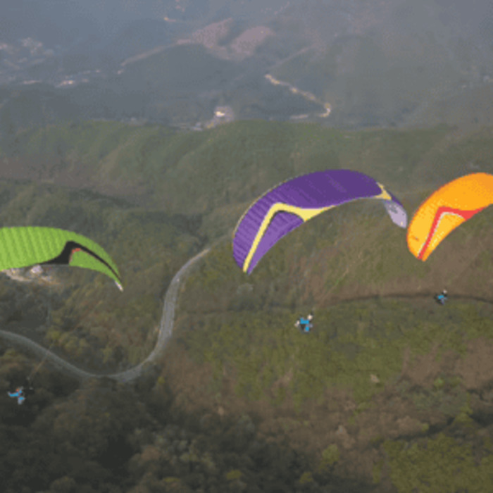 Trial Tandem Flight. Limited spots available