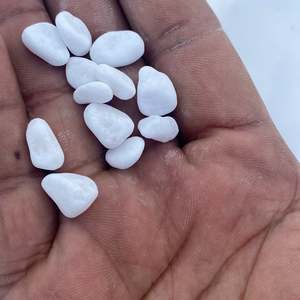 Snow White (Micro Size 20kg)