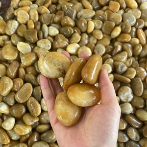 Sunrise Yellow (Large Size 20kg)