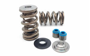 Ls Single Bolt Engines: Kelford Cams LS Dual 1209X Springs, Ti Retainers, Locators & Stem seals - KVSLS1D-2