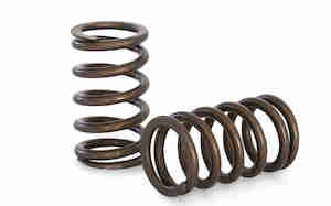 Rb20 Rb25: Kelford Cams Nissan RB20DET RB25DET Race Spring Set - KVS20