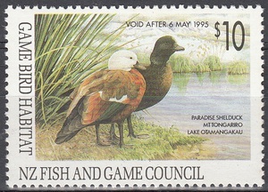 1994 Paradise Shelduck