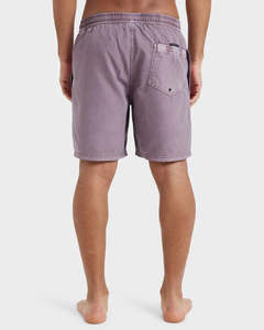 Quiksilver Everyday Surfwash Volley 17NB Shorts