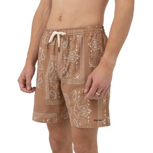 Rhythm Border Beachshorts