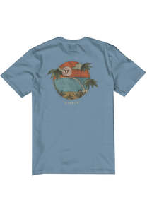 Vissla Hideaway Boys Organic Tees