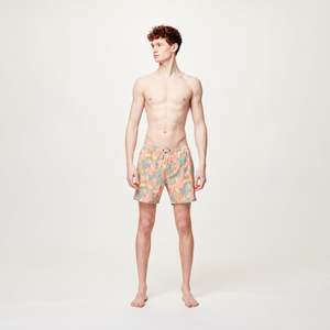 Picture Piau 15inch Boardshorts