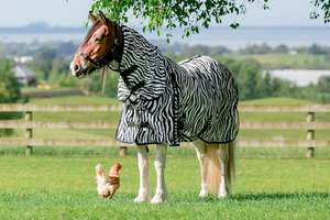 Animal Print: NZ Tack Zebra Mesh Fly Combo