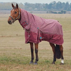 Weatherbeeta Comfitec Limited Edition Turnout Combo