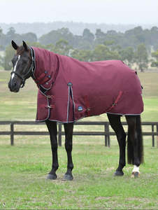 Winter 100g 300g: Weatherbeeta ComfiTec Essential Turnout Combo